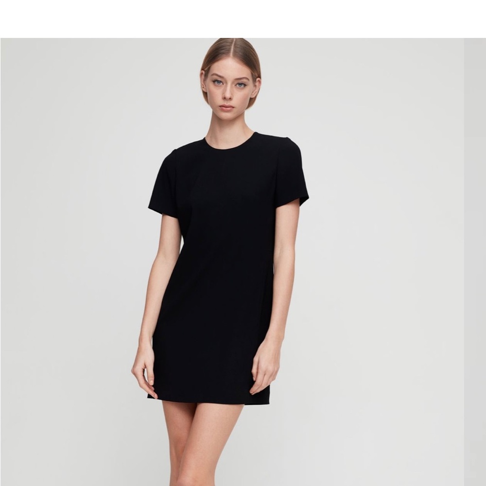 Aritzia Babaton Shift Dress